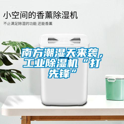 南方潮湿天来袭，工业91抖音免费看片“打先锋”