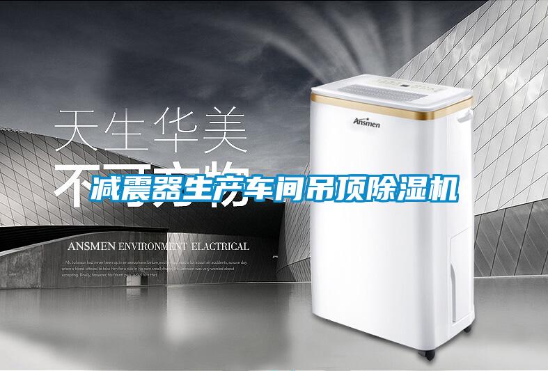 减震器生产车间吊顶91抖音免费看片