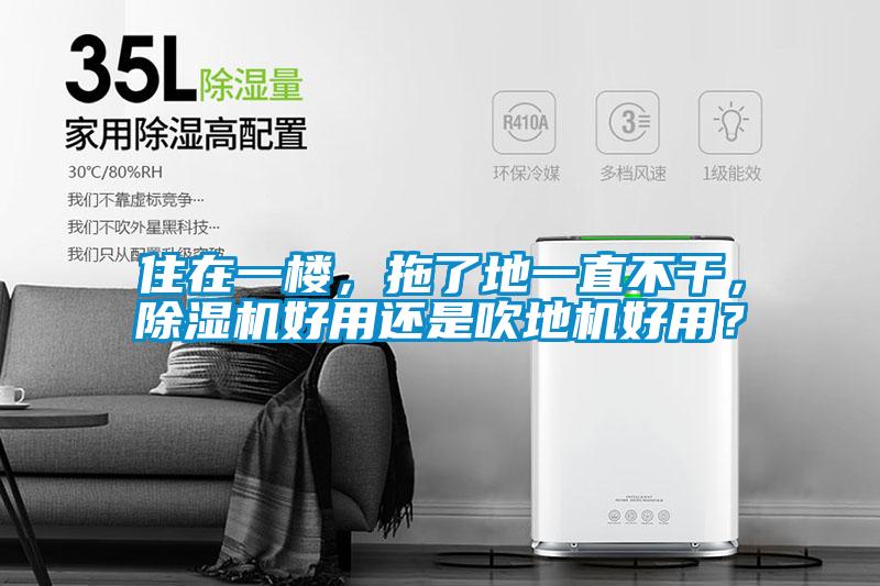 住在一楼，拖了地一直不干，91抖音免费看片好用还是吹地机好用？
