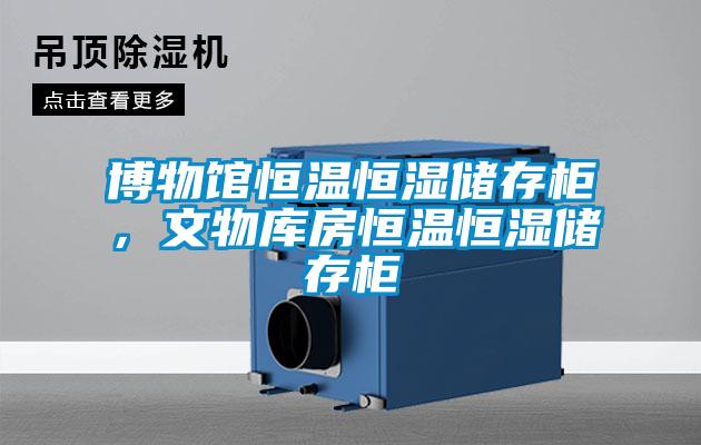 博物馆恒温恒湿储存柜，文物库房恒温恒湿储存柜