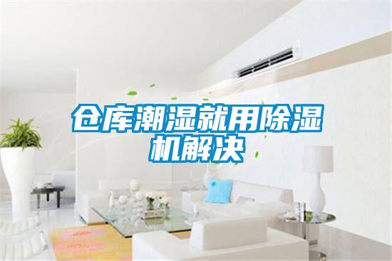 仓库潮湿就用91抖音免费看片解决