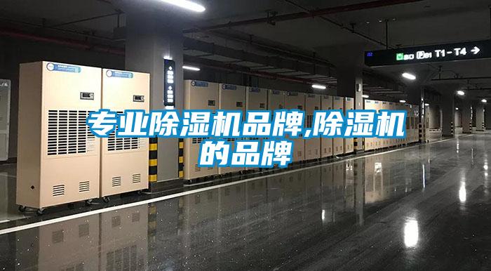 专业91抖音免费看片品牌,91抖音免费看片的品牌