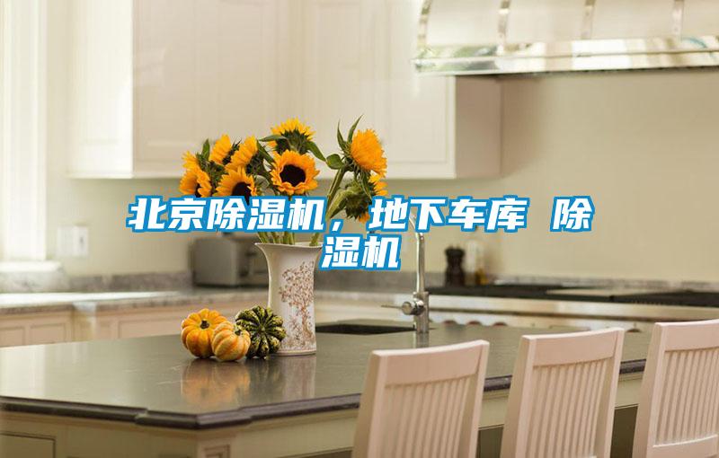 北京91抖音免费看片，地下车库 91抖音免费看片