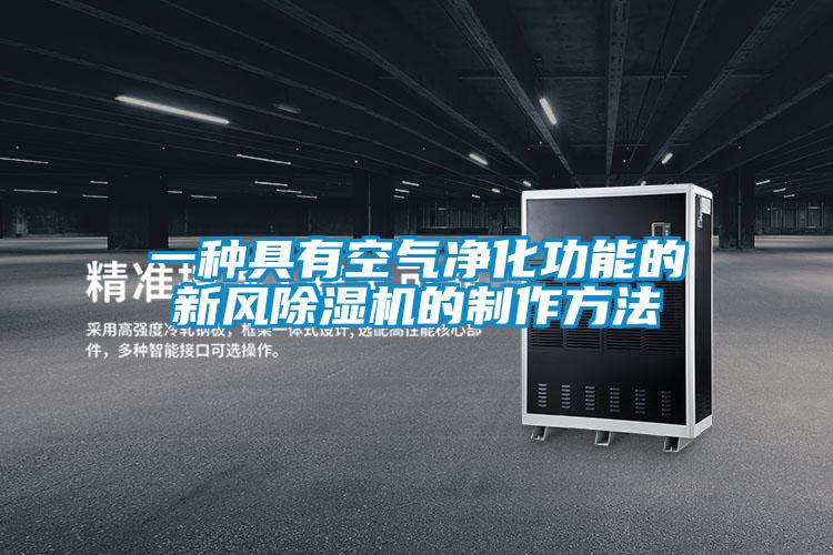 一种具有空气净化功能的新风91抖音免费看片的制作方法