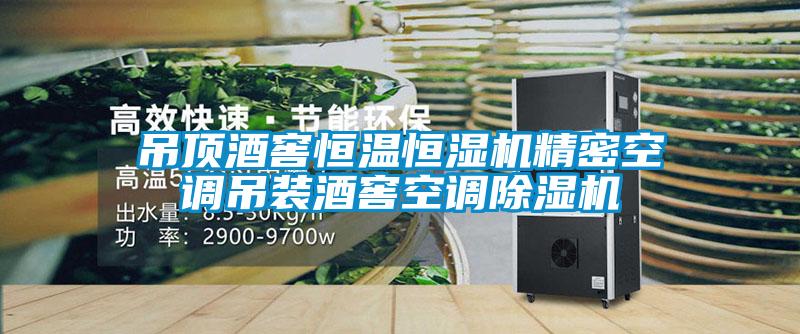 吊顶酒窖恒温恒湿机精密空调吊装酒窖空调91抖音免费看片