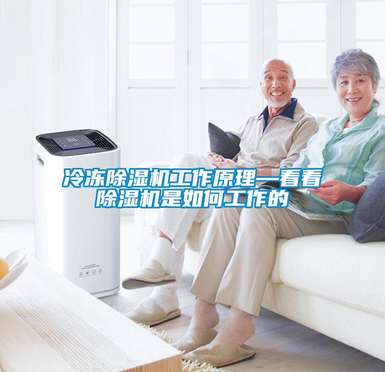 冷冻91抖音免费看片工作原理—看看91抖音免费看片是如何工作的