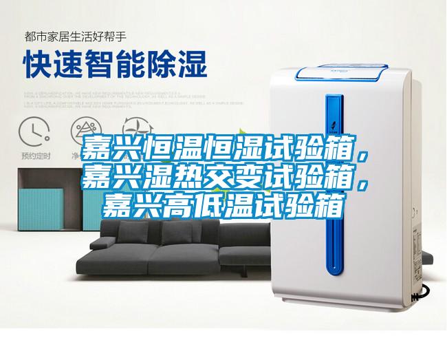 嘉兴恒温恒湿试验箱，嘉兴湿热交变试验箱，嘉兴高低温试验箱