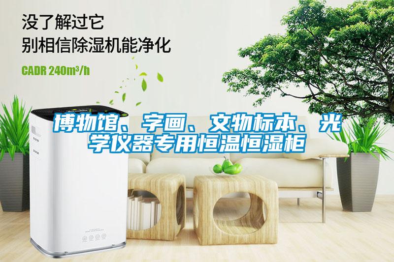 博物馆、字画、文物标本、光学仪器专用恒温恒湿柜