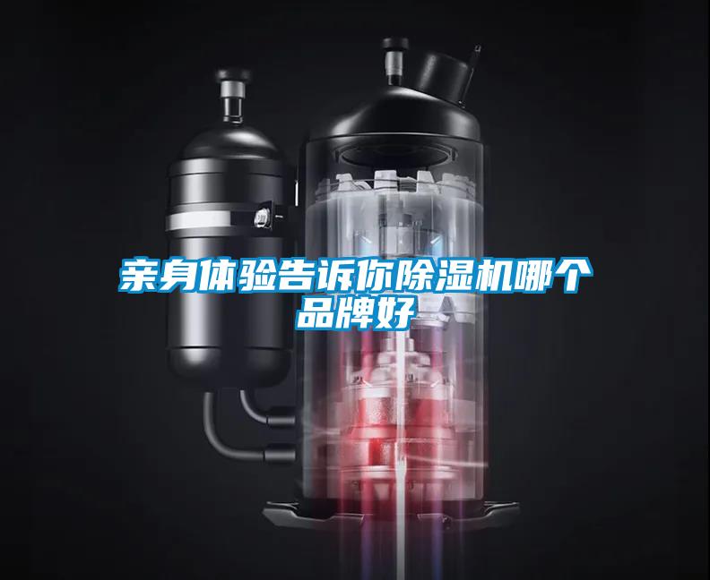 亲身体验告诉你91抖音免费看片哪个品牌好