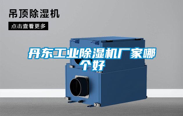 丹东工业91抖音免费看片厂家哪个好
