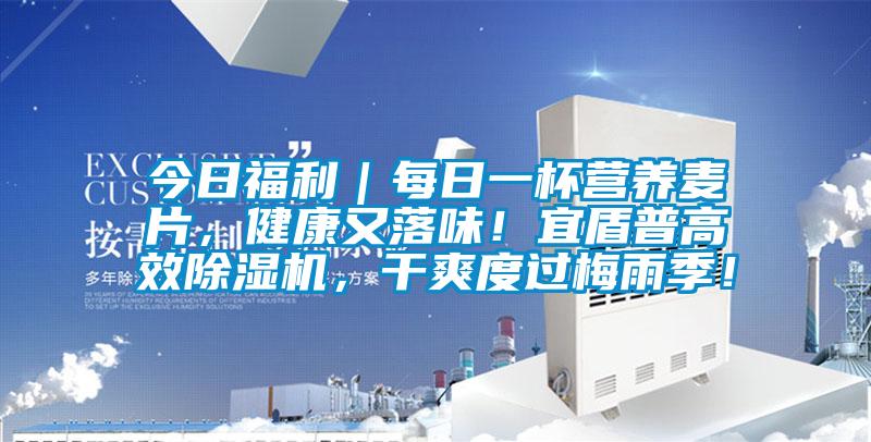 今日福利｜每日一杯营养麦片，健康又落味！宜盾普高效91抖音免费看片，干爽度过梅雨季！