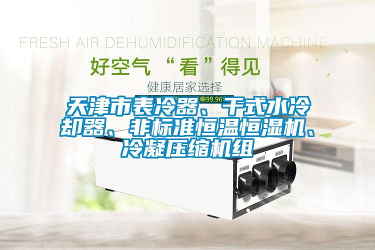 天津市表冷器、干式水冷却器、非标准恒温恒湿机、冷凝压缩机组