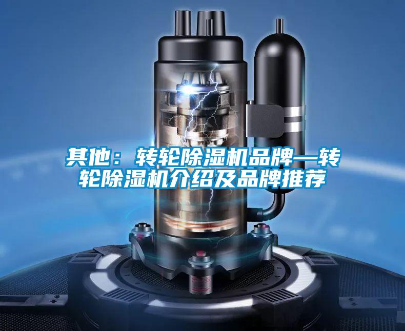 其他：转轮91抖音免费看片品牌—转轮91抖音免费看片介绍及品牌推荐