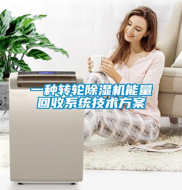 一种转轮91抖音免费看片能量回收系统技术方案