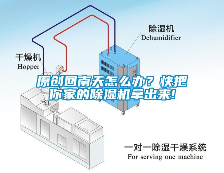 原创回南天怎么办？快把你家的91抖音免费看片拿出来!