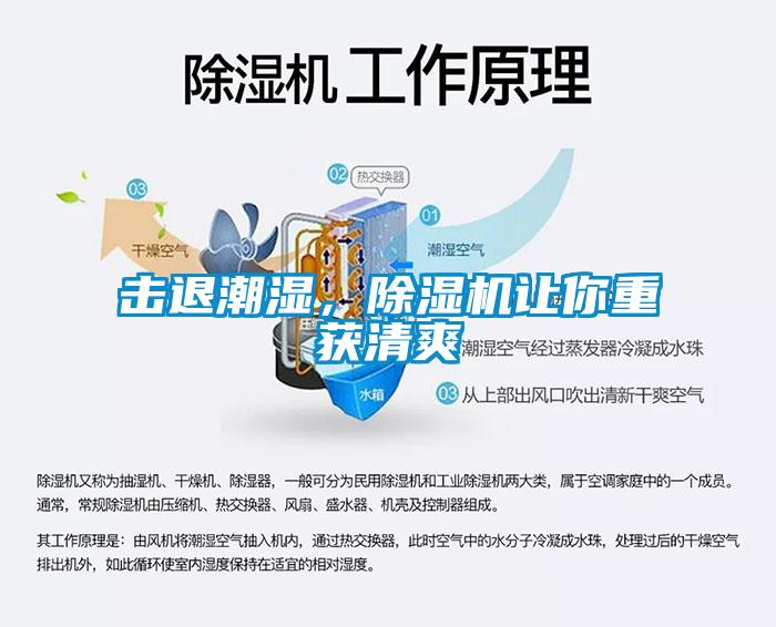 击退潮湿，91抖音免费看片让你重获清爽