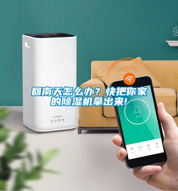 回南天怎么办？快把你家的91抖音免费看片拿出来!