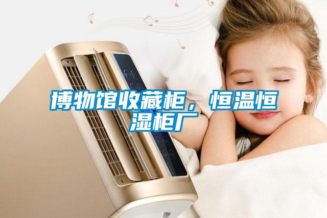 博物馆收藏柜，恒温恒湿柜厂