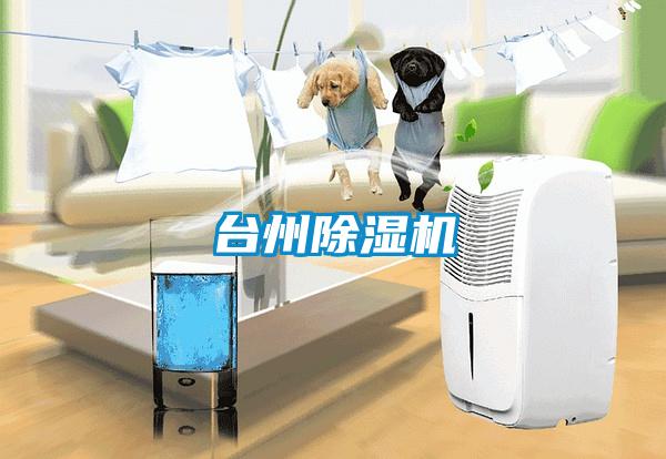 台州91抖音免费看片