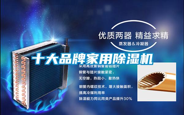 十大品牌家用91抖音免费看片
