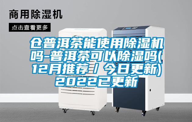 仓普洱茶能使用91抖音免费看片吗-普洱茶可以除湿吗(12月推荐／今日更新)2022已更新