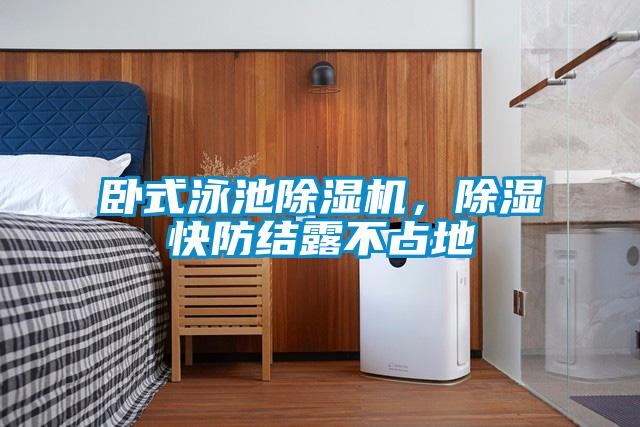 卧式泳池91抖音免费看片，除湿快防结露不占地
