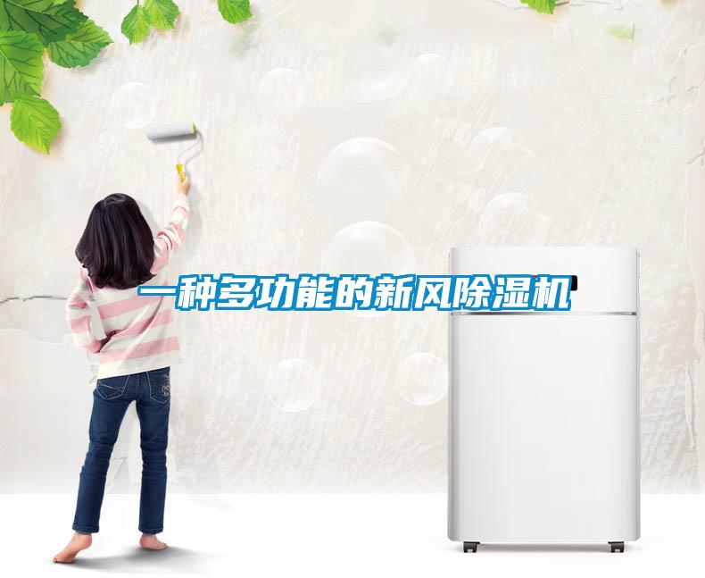 一种多功能的新风91抖音免费看片