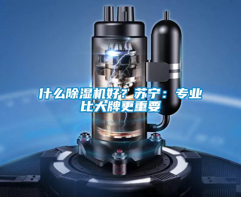 什么91抖音免费看片好？苏宁：专业比大牌更重要