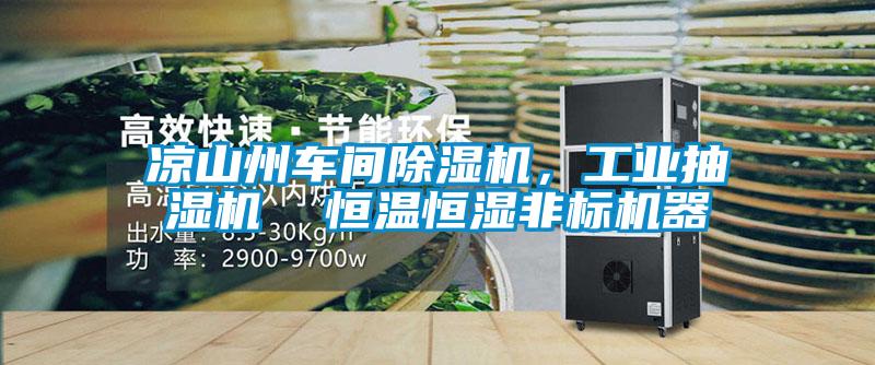 凉山州车间91抖音免费看片，工业抽湿机  恒温恒湿非标机器