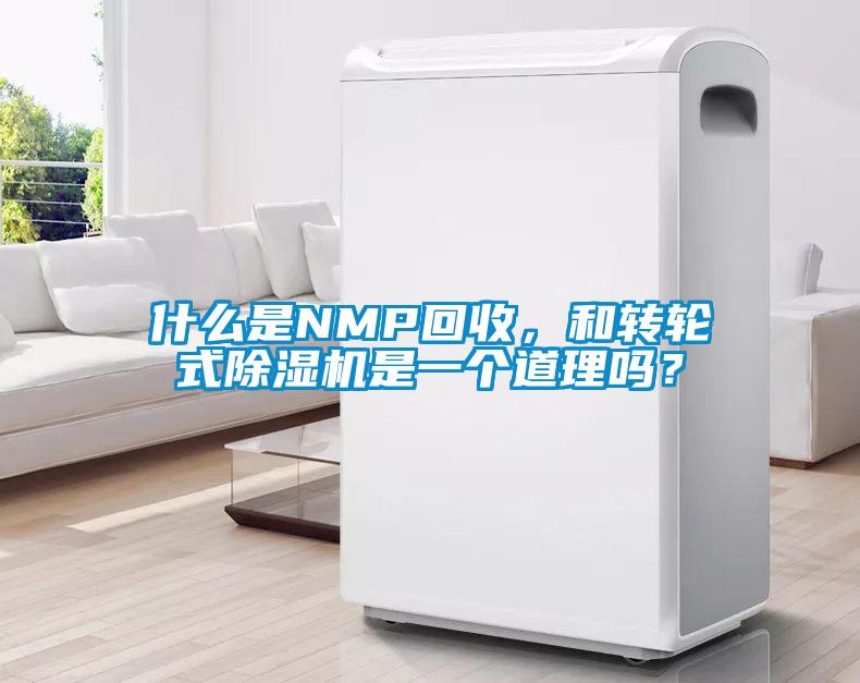 什么是NMP回收，和转轮式91抖音免费看片是一个道理吗？