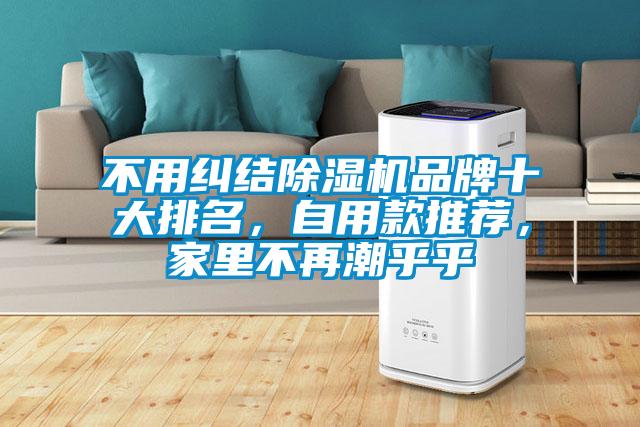 不用纠结91抖音免费看片品牌十大排名，自用款推荐，家里不再潮乎乎