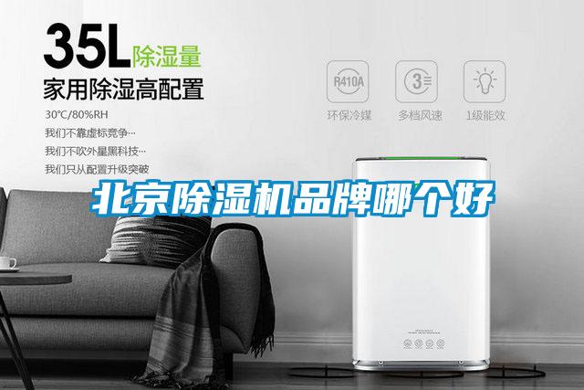 北京91抖音免费看片品牌哪个好
