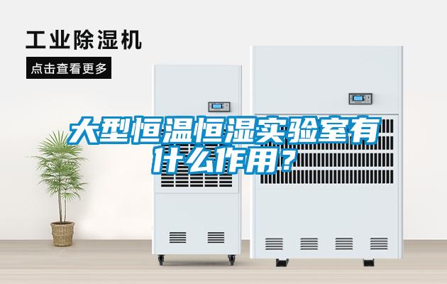 大型恒温恒湿实验室有什么作用？