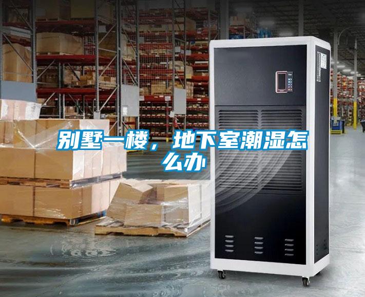 别墅一楼，地下室潮湿怎么办