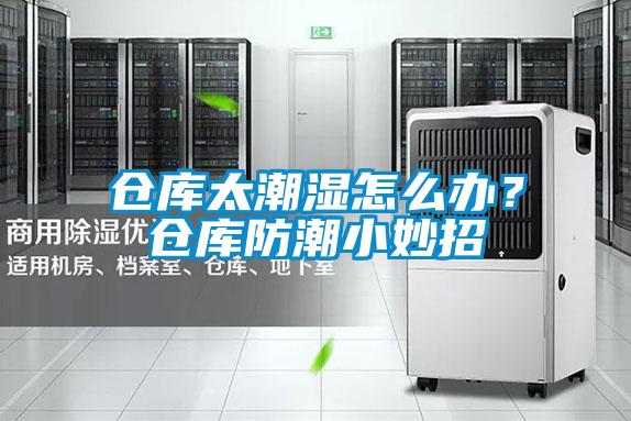 仓库太潮湿怎么办？仓库防潮小妙招