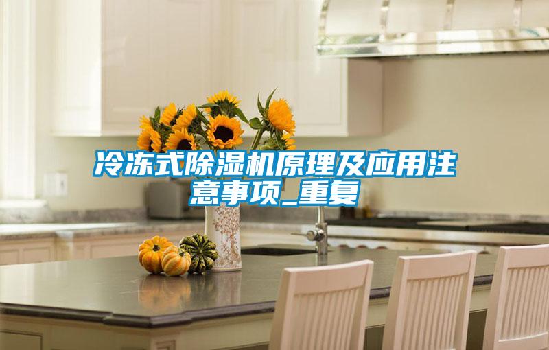 冷冻式91抖音免费看片原理及应用注意事项_重复