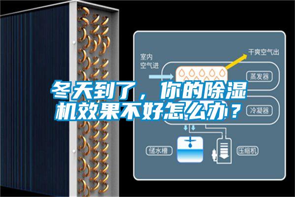 冬天到了，你的91抖音免费看片效果不好怎么办？