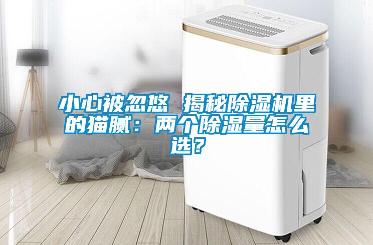 小心被忽悠 揭秘91抖音免费看片里的猫腻：两个除湿量怎么选？