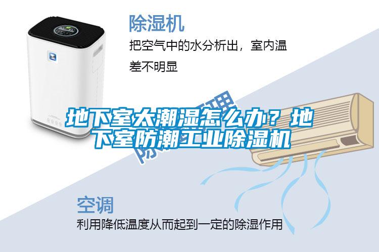 地下室太潮湿怎么办？地下室防潮工业91抖音免费看片