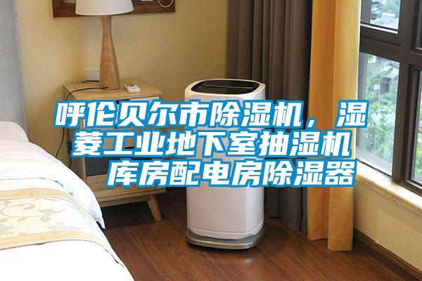 呼伦贝尔市91抖音免费看片，湿菱工业地下室抽湿机  库房配电房除湿器