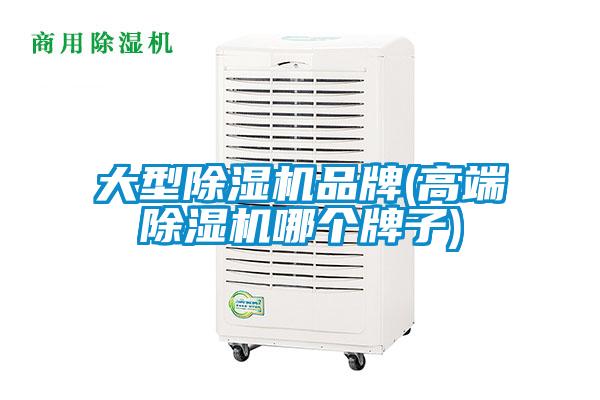 大型91抖音免费看片品牌(高端91抖音免费看片哪个牌子)