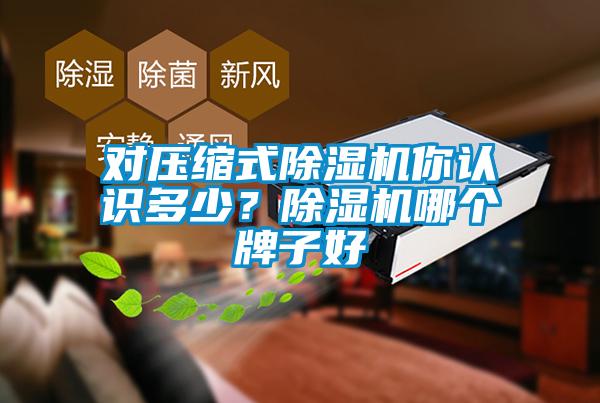 对压缩式91抖音免费看片你认识多少？91抖音免费看片哪个牌子好