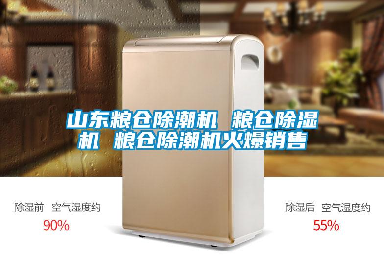 山东粮仓除潮机 粮仓91抖音免费看片 粮仓除潮机火爆销售