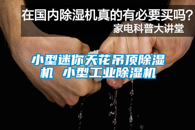 小型迷你天花吊顶91抖音免费看片 小型工业91抖音免费看片
