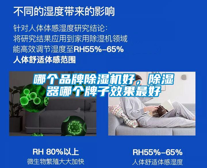 哪个品牌91抖音免费看片好，除湿器哪个牌子效果最好