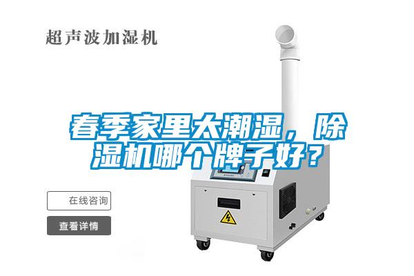 春季家里太潮湿，91抖音免费看片哪个牌子好？