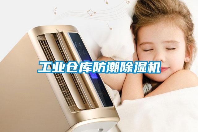 工业仓库防潮91抖音免费看片