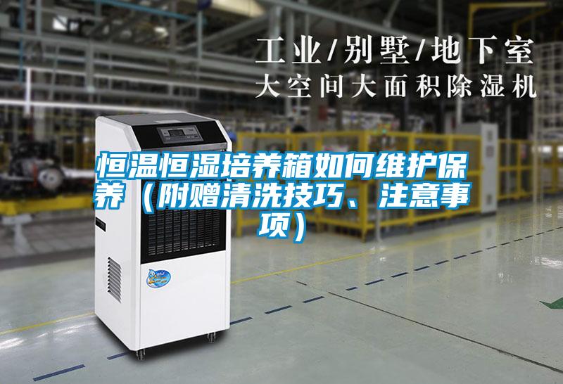 恒温恒湿培养箱如何维护保养（附赠清洗技巧、注意事项）