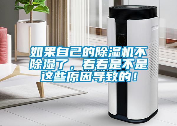 如果自己的91抖音免费看片不除湿了，看看是不是这些原因导致的！
