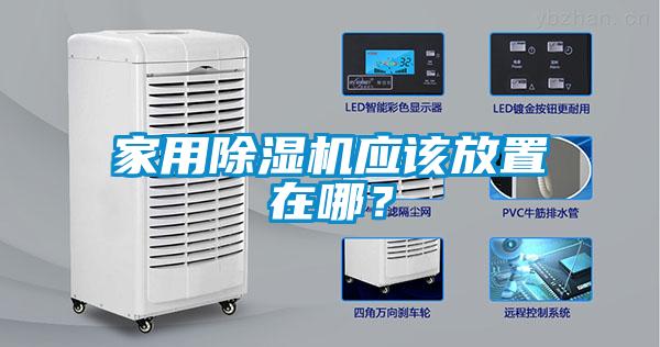 家用91抖音免费看片应该放置在哪？